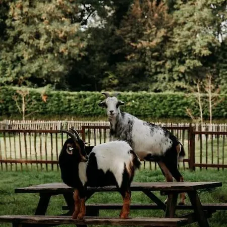 Nordic Zen Wellness Met Hottub & Sauna