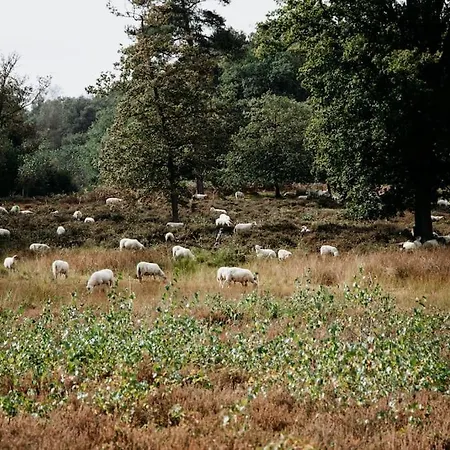 Nordic Zen Wellness Met Hottub & Sauna Holiday home *