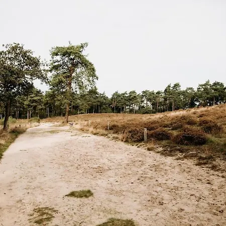 Nordic Zen Wellness Met Hottub & Sauna Holiday home Ewijk