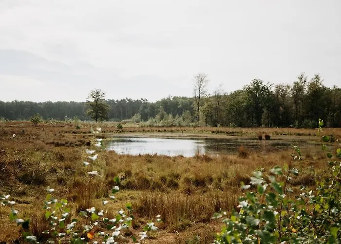 Feriehus Nordic Zen Wellness Met Hottub & Sauna *