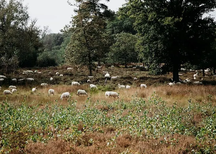 Nordic Zen Wellness Met Hottub & Sauna Feriehus *