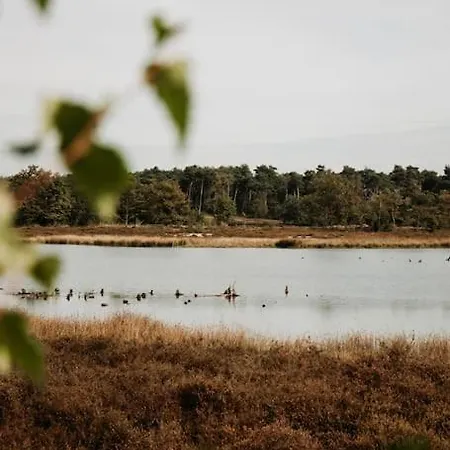 Nordic Zen Wellness Met Hottub & Sauna Ewijk