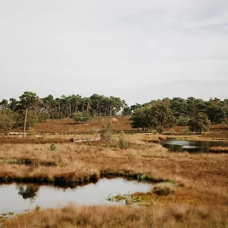 Nyaraló Nordic Zen Wellness Met Hottub & Sauna *