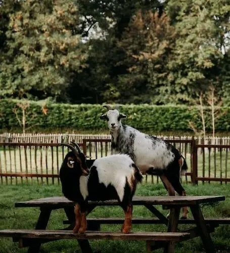 Nordic Zen Wellness Met Hottub & Sauna