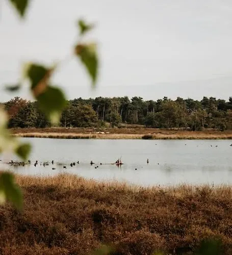 Nordic Zen Wellness Met Hottub & Sauna Ewijk