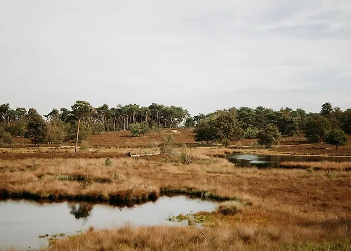 Nyaraló Nordic Zen Wellness Met Hottub & Sauna *